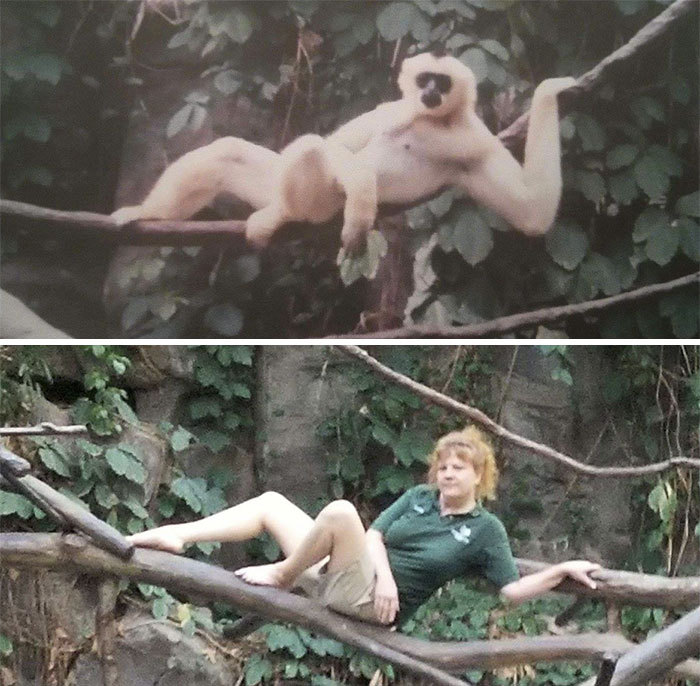 동물들을 이해하기 위해 가까워지려는 사육사들.jpg | 인스티즈