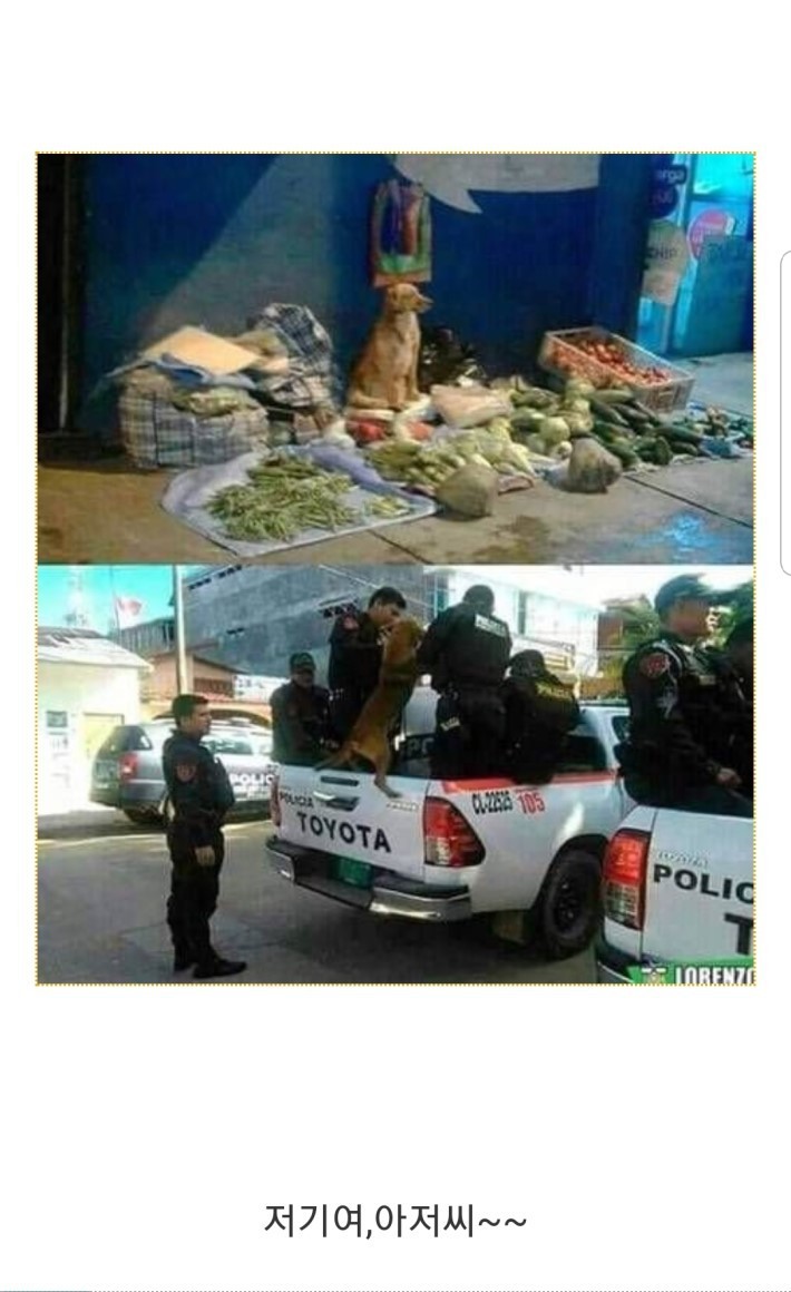불법노점상의 최후 | 인스티즈