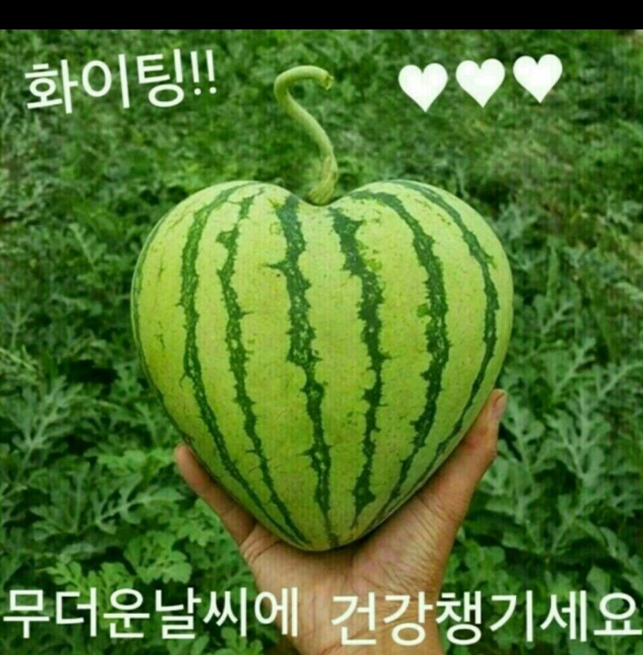 행복.사랑 이미지