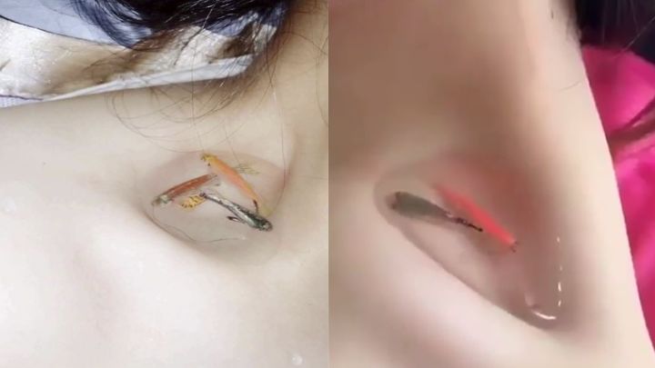 993C1C3B5BD7E1CC350EEE