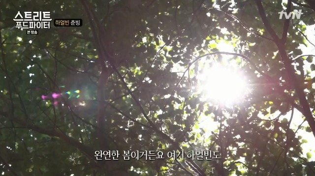 [스트리트푸드파이터] 하얼빈 춘빙 | 인스티즈