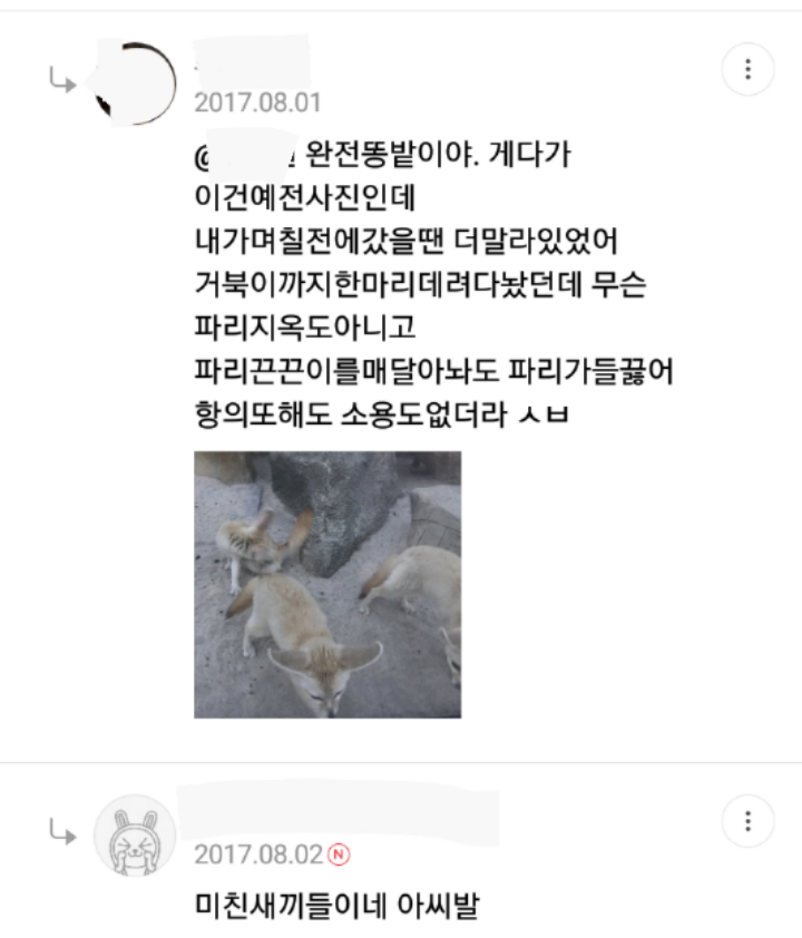 제정신이 아닌듯한 춘천의 한 관광지.jpg | 인스티즈
