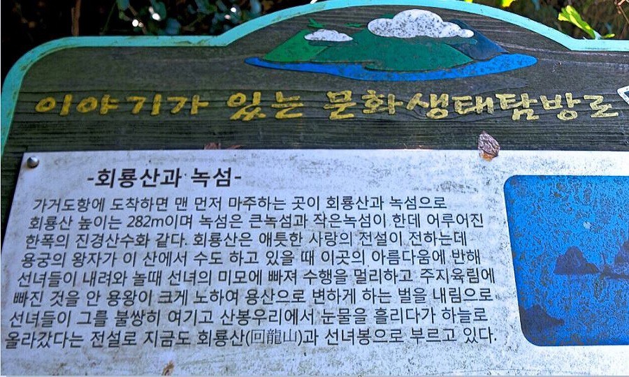 해뜰목 이미지