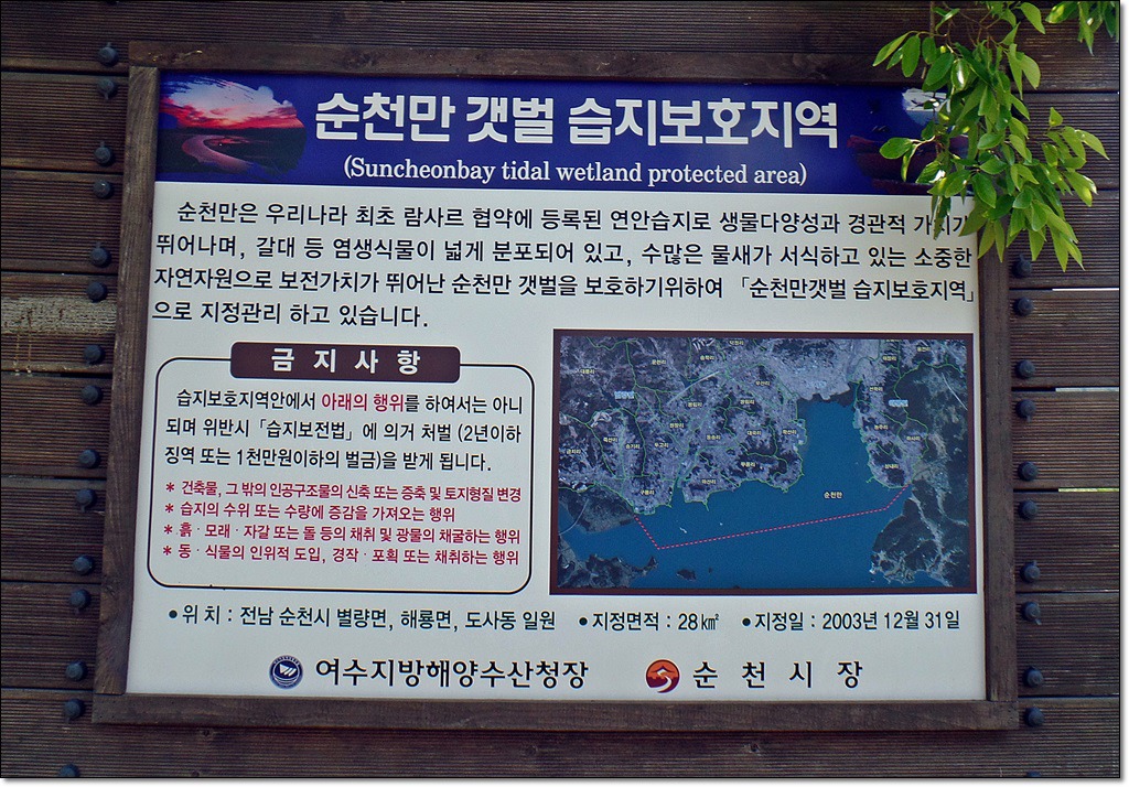 순천만 숲1 이미지