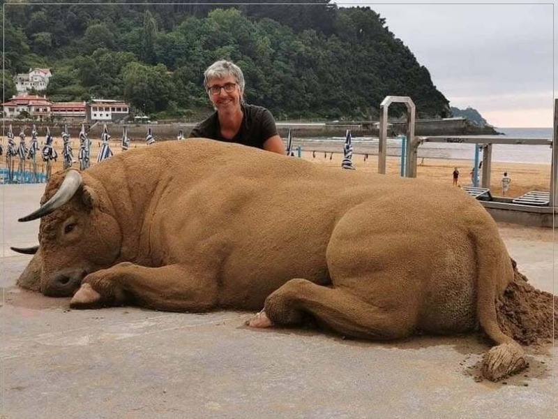 소한마리 이미지