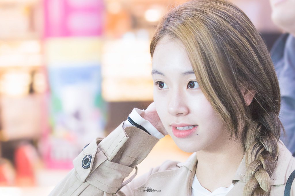 뽀짝뽀짝 귀여운 아가맹수 채영이 | 인스티즈
