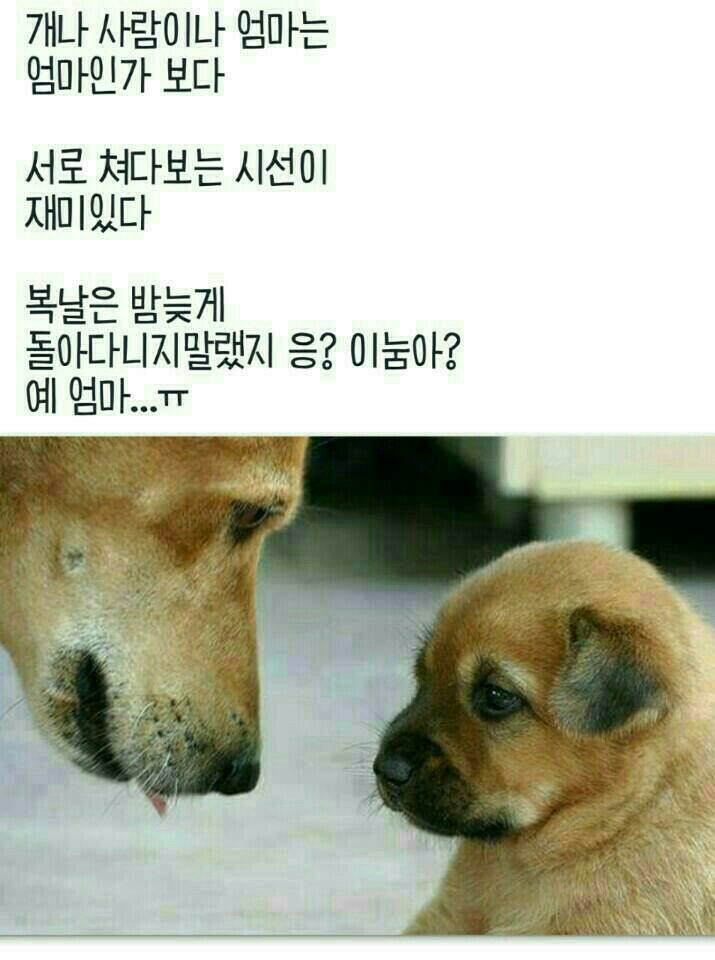 명윤 이미지