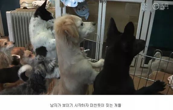 는 남자가 시러 ㅜㅅ° | 인스티즈