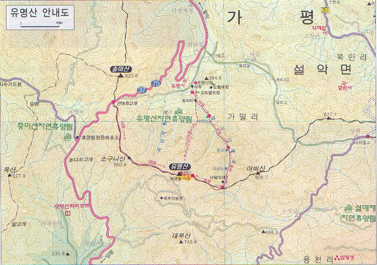 유명산막국수 이미지