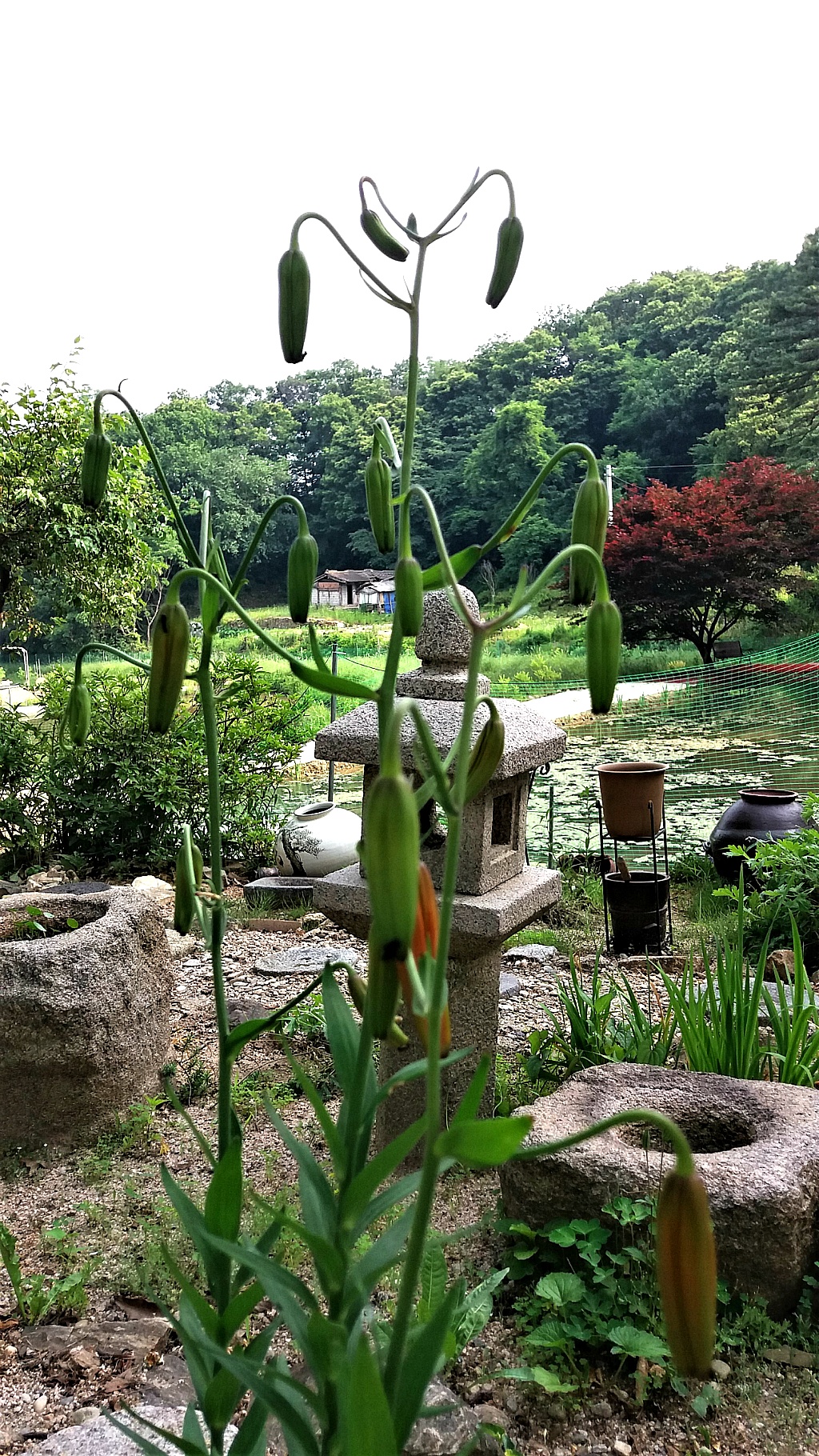 청림원 이미지