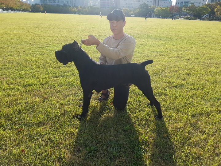 마몬 이미지