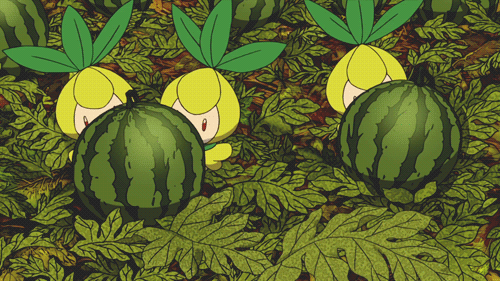 새해 첫 포켓몬스터 | 인스티즈