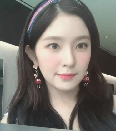 얼굴 천재 아이린.gif | 인스티즈