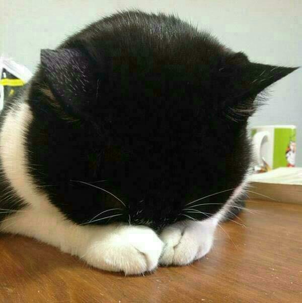 남항주유소 이미지