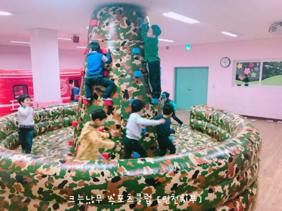 나무에 이미지
