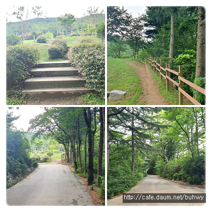숲과함께협동조합 이미지