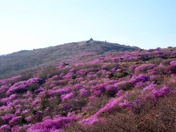 지리산 노고단의 풍경 | 인스티즈