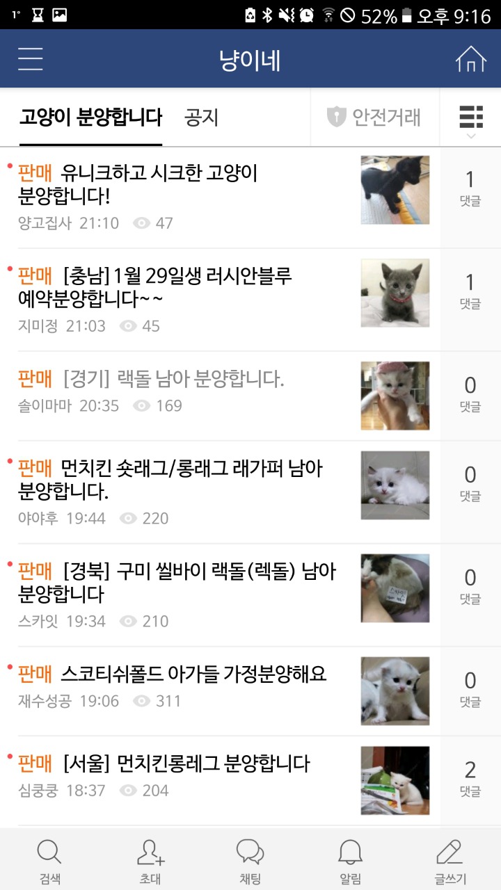 품종묘 교배.분양하는 네이버카페(냥이네) | 인스티즈