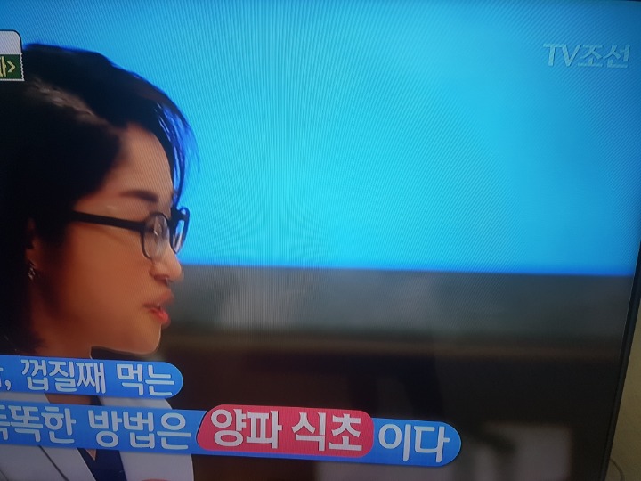 속보 제일좋아하는 채널상황 | 인스티즈