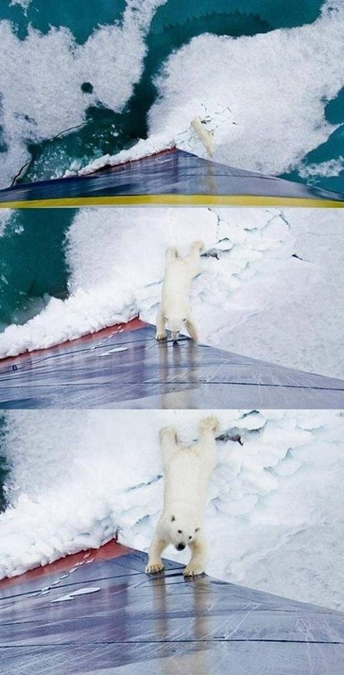 더 이상 오지마요.jpg | 인스티즈