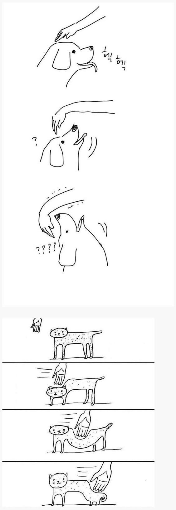 강아지와 고양이의 차이.jpg | 인스티즈