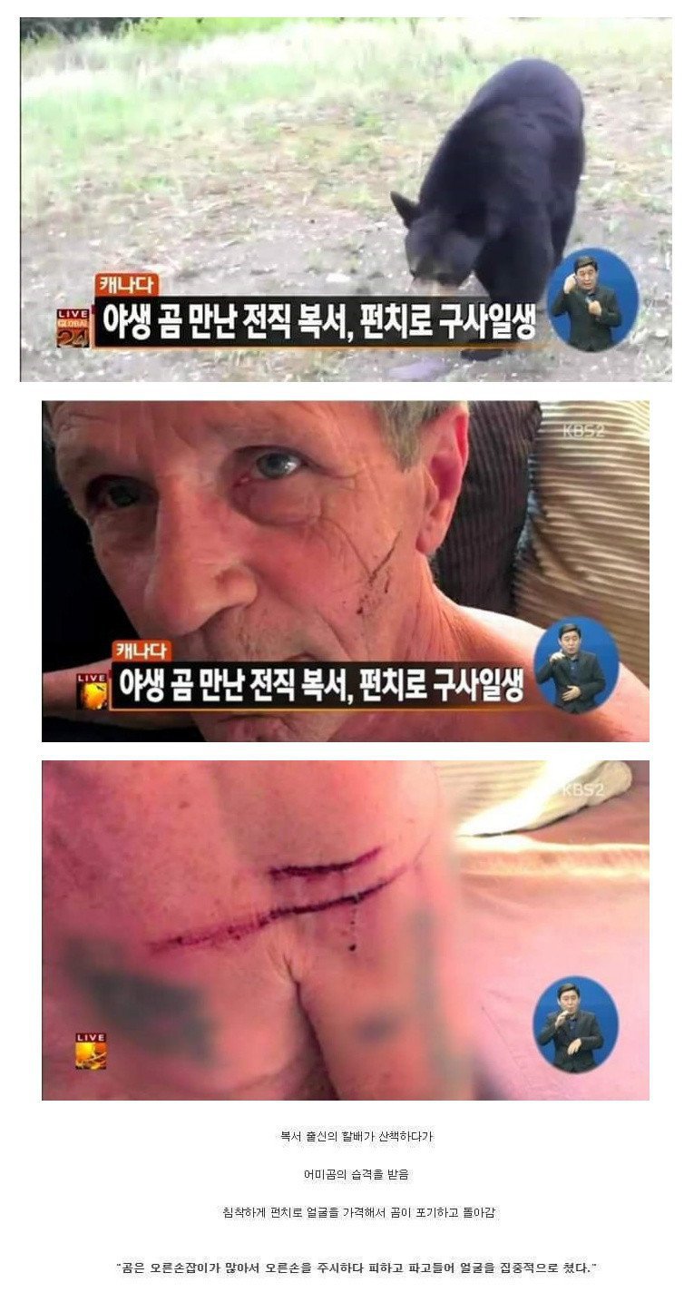 이김 이미지