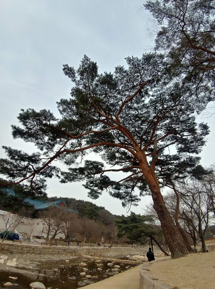 호연지기 이미지