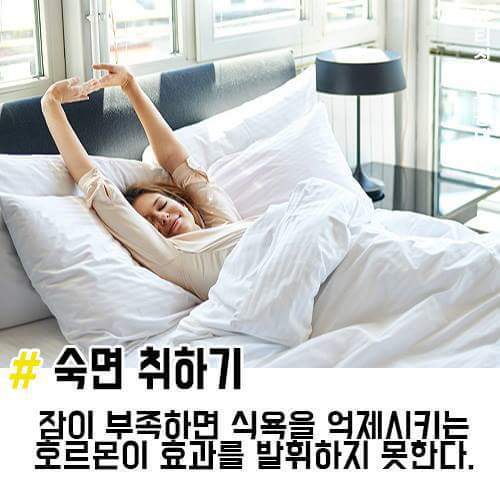 배고픔 참는 방법 | 인스티즈