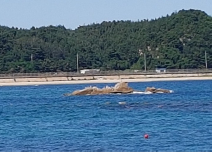 고성 이미지