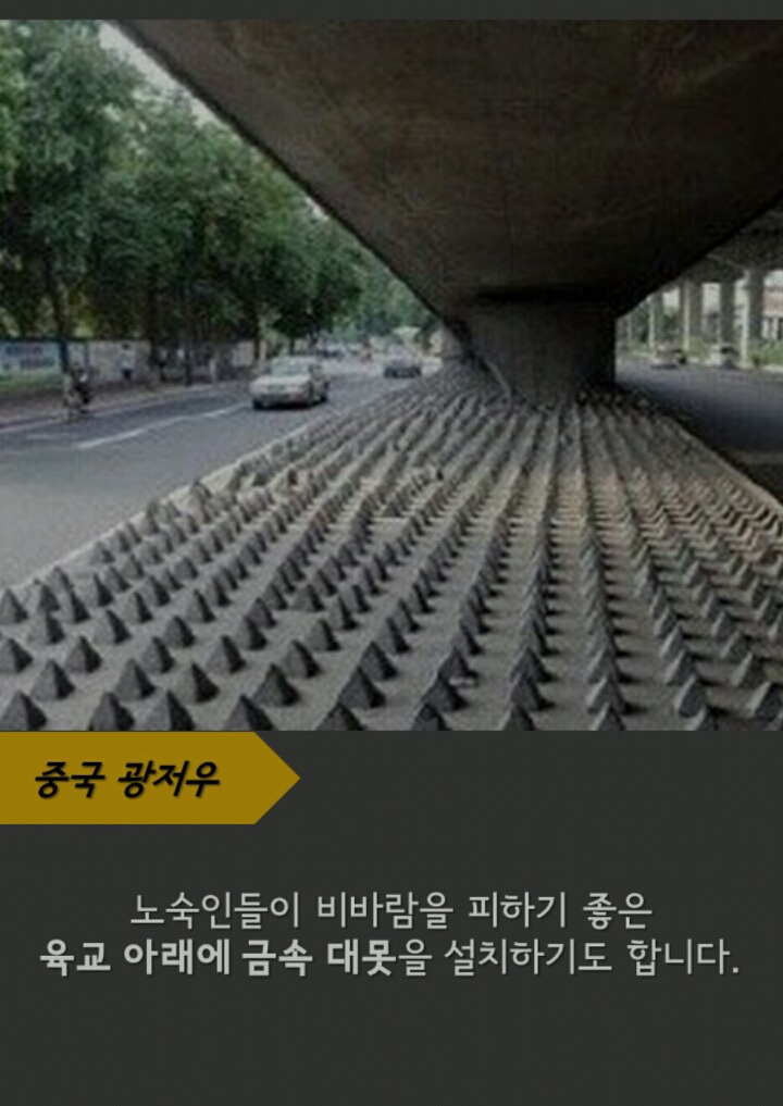 공원벤치 팔걸이가 있는 이유 | 인스티즈