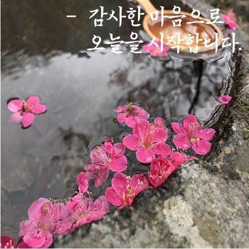 행복명상 이미지