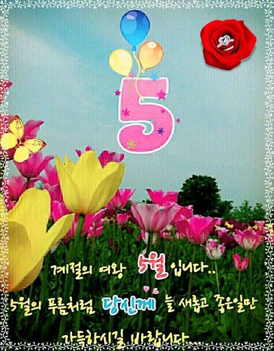 꽃길만걷자 이미지