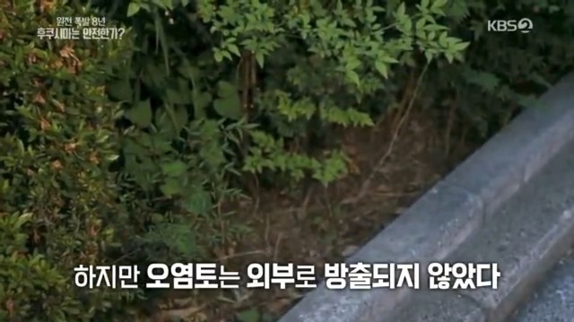 일본산 식품 먹지 않고 일본 여행 가지 않는게 좋은 이유 | 인스티즈