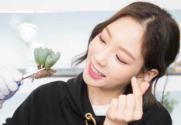 997C93415CC48DFD02472B