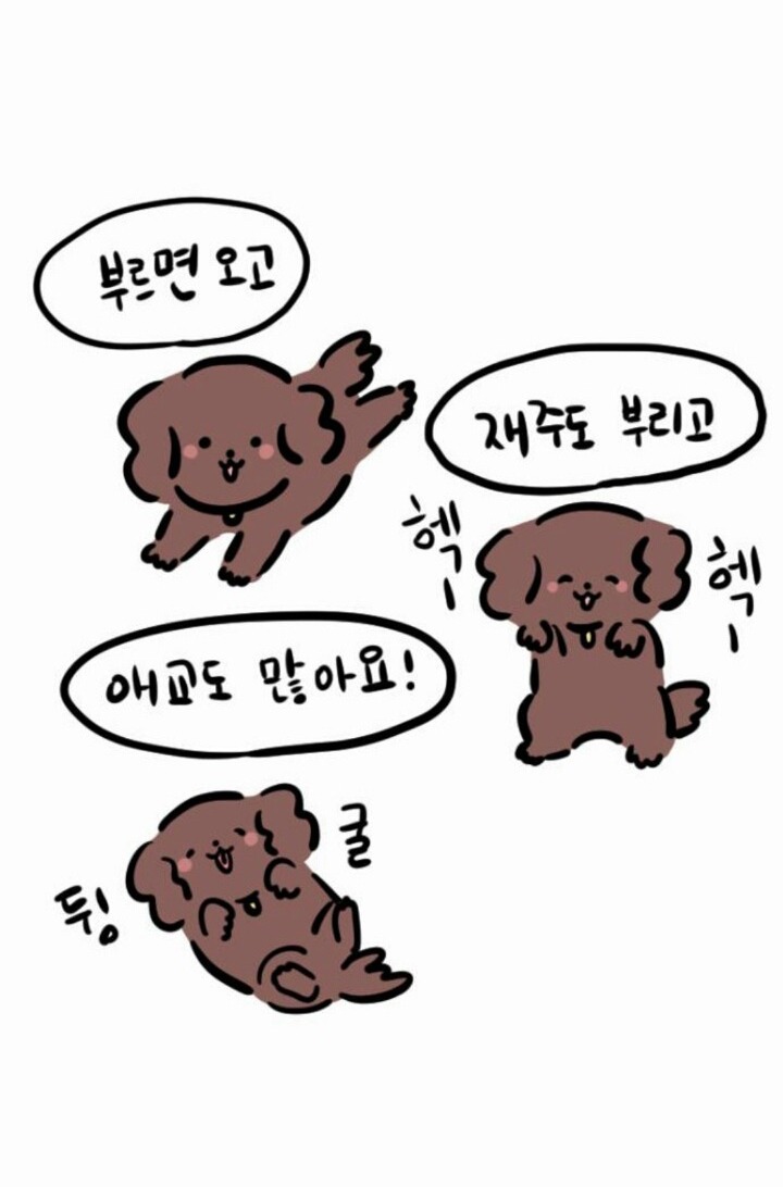 개와 고양이의 차이 | 인스티즈