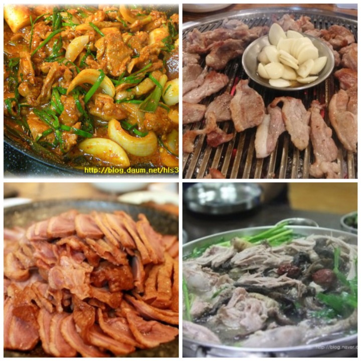 본인이 선호하는 오리고기는? | 인스티즈