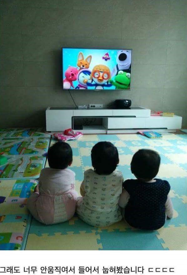 뽀로로 전성기 시절 | 인스티즈