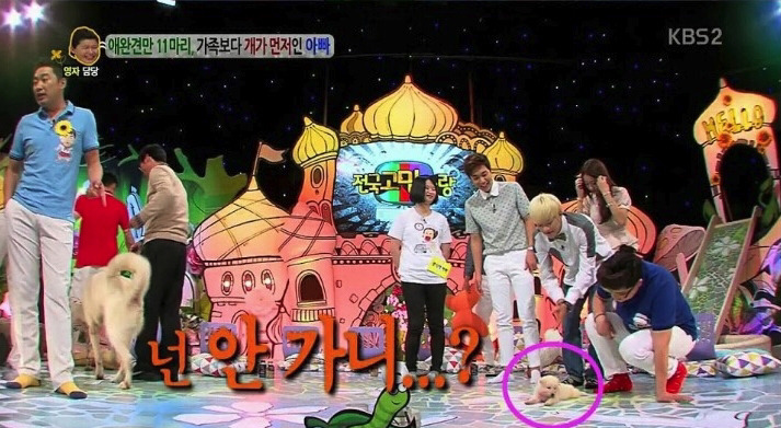 방송중에 잠들어버린 게스트.jpg | 인스티즈