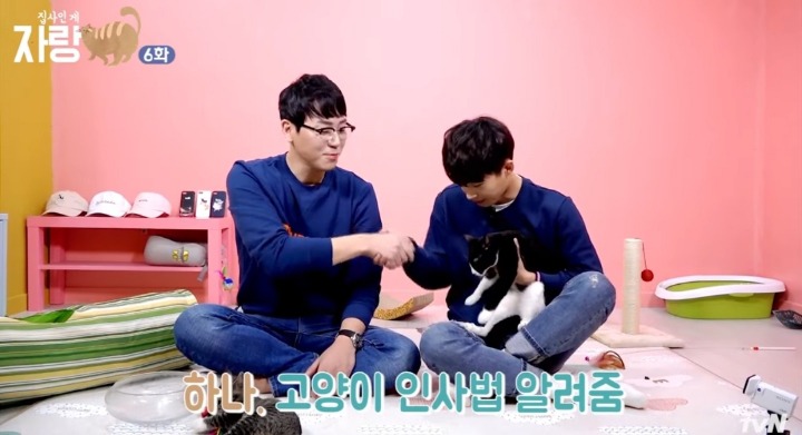 고양이랑 인사하는 법.jpg | 인스티즈