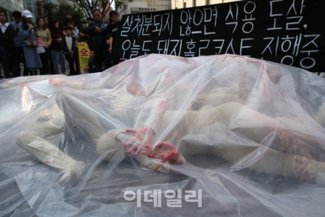 오늘자 동물단체 근황 | 인스티즈