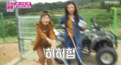 개한테 산책당하고 양한테 시비털리는 레드벨벳 슬기.gif | 인스티즈