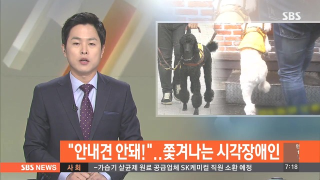 시각 장애인 안내견 식당 출입금지.jpg | 인스티즈