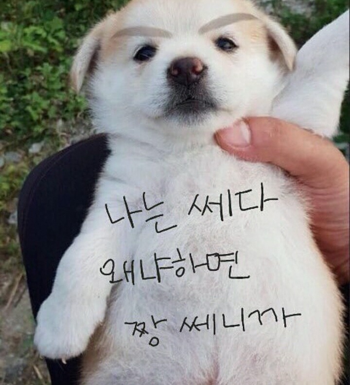 절미언니에게 실망시키지않겠다며 제휴 문의하는 스파오 | 인스티즈