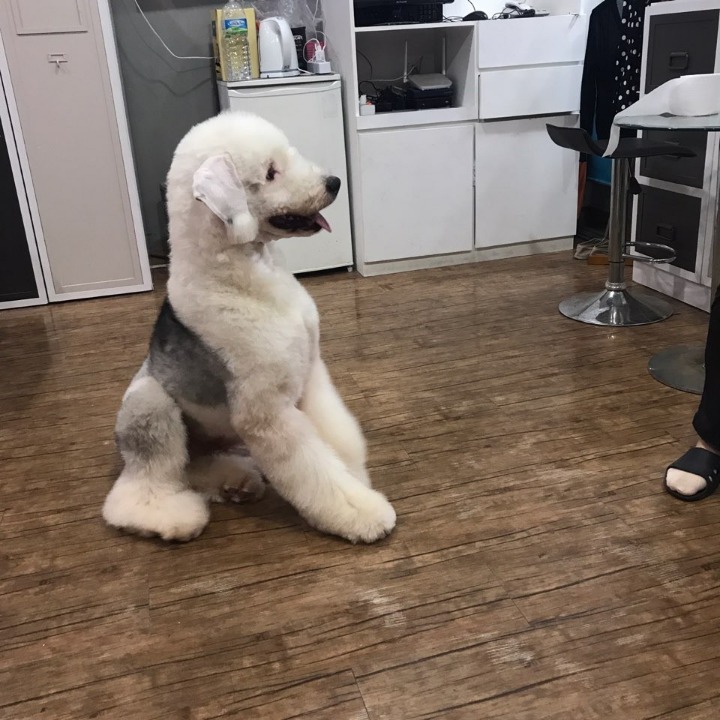 장유점 이미지