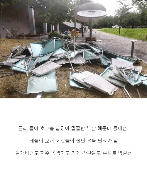 부산 바닷가에 태풍이 불면 난리나는 이유 | 인스티즈