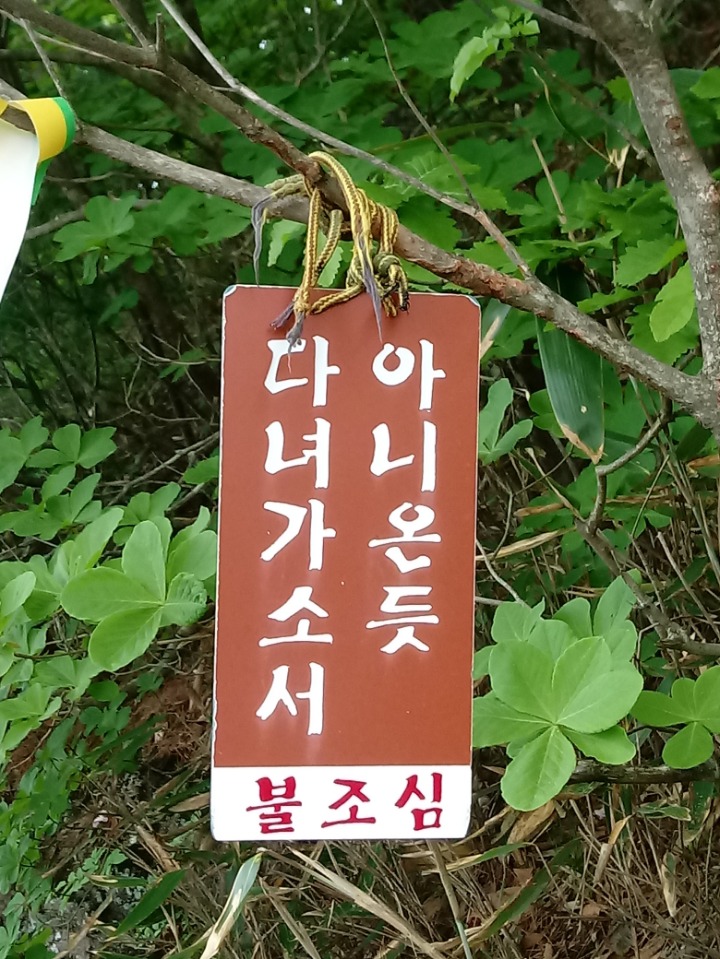 토예 이미지