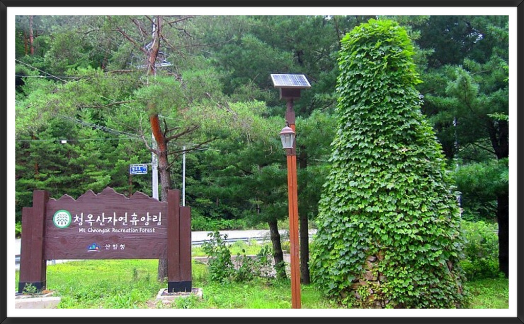 청옥산자연휴양림 이미지