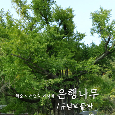 (주)여행과나무 이미지