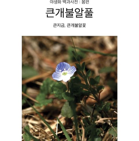 식물 이름이 심상치않다 | 인스티즈
