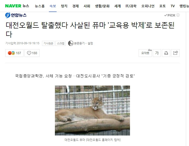 탈출한 퓨마 호롱이 박제.. | 인스티즈